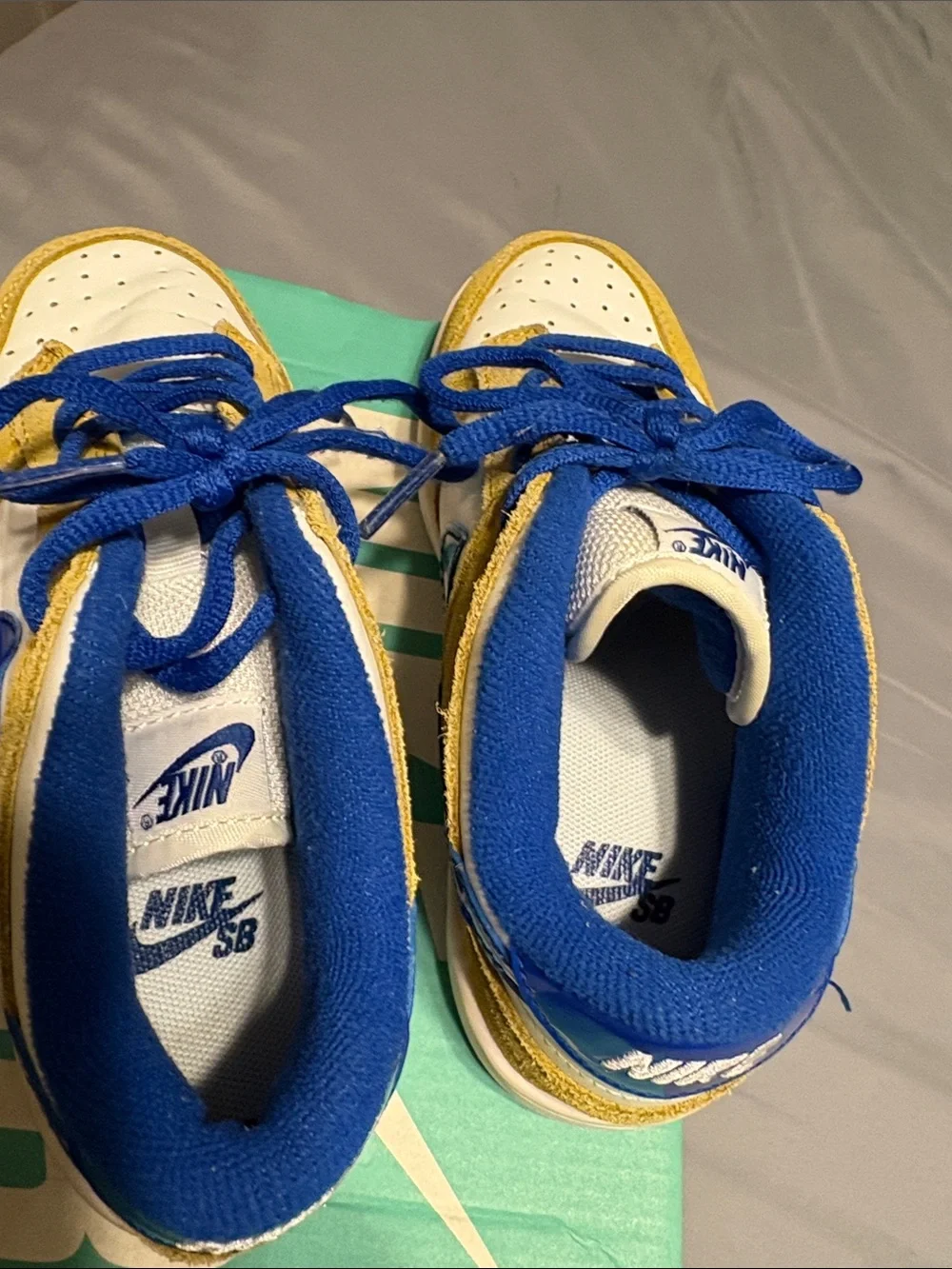 Nike sb zoom